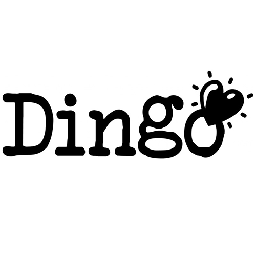 Dingo