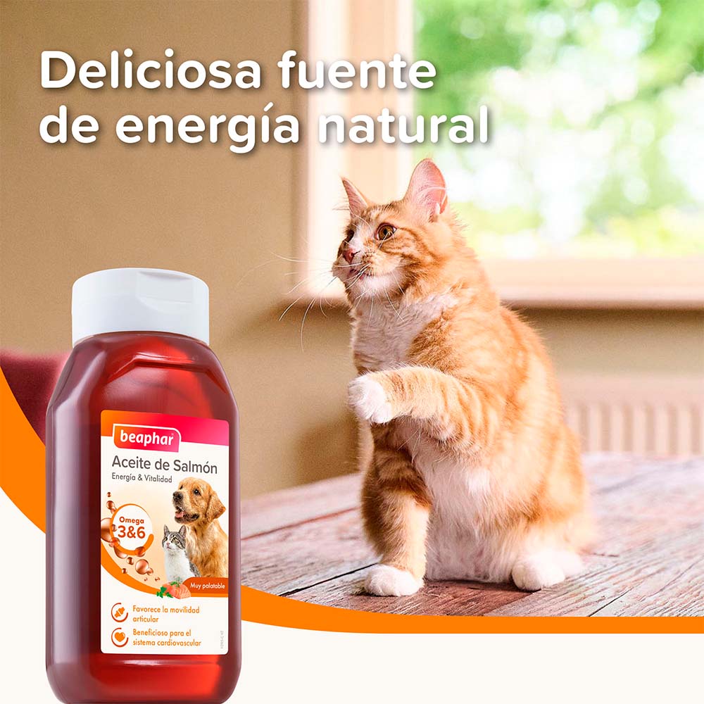 Beaphar Aceite de Salmón Perro y Gato - 425ml - Beaphar