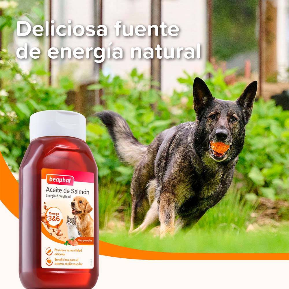 SUPLEMENTOS PERROS - Aceite de Salmon