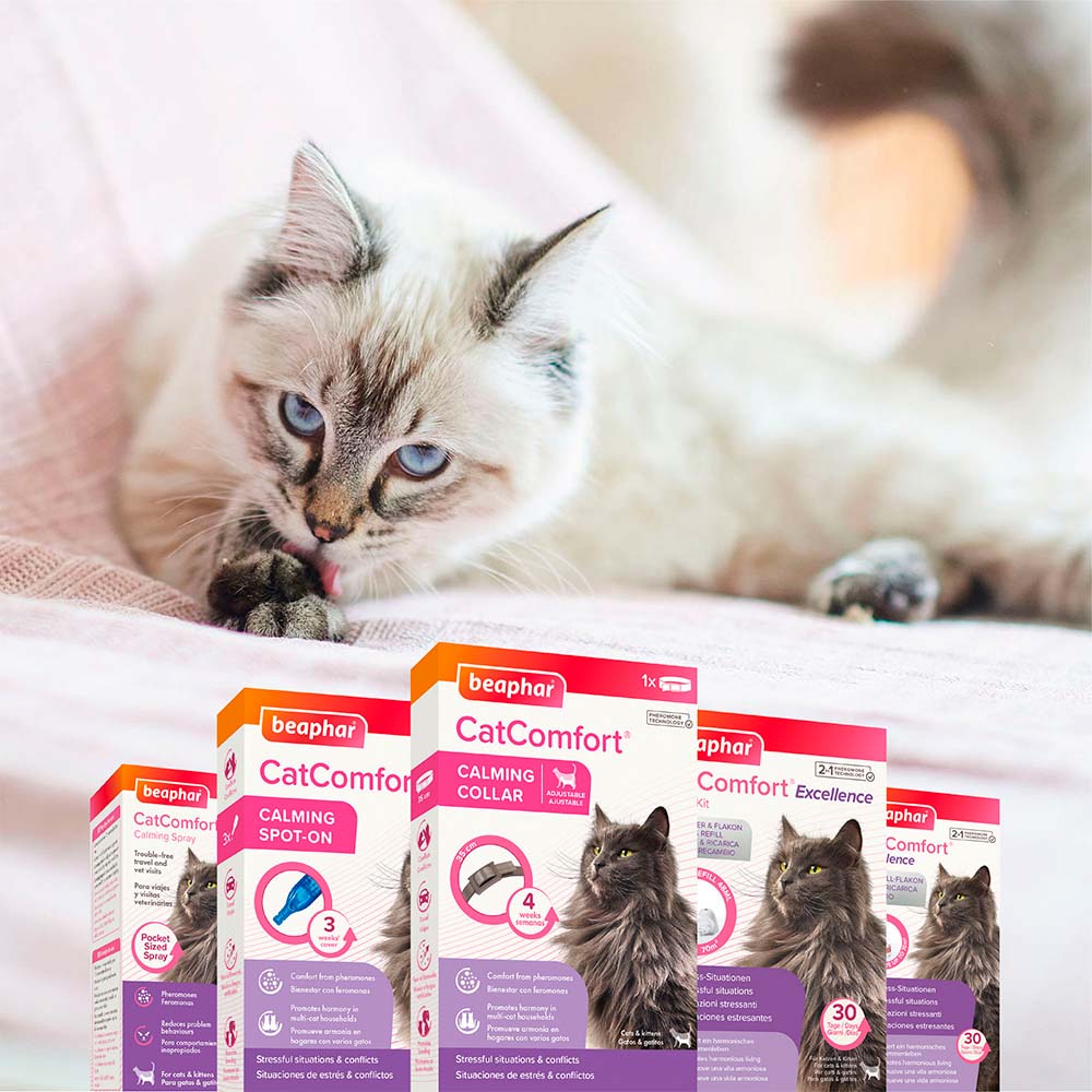 Kit Serenex Difusor Feromona Para Gatos - Anti Estrés