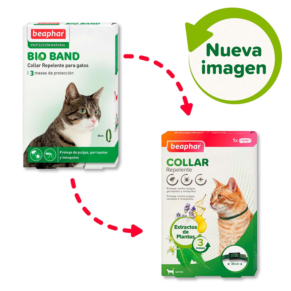 Repelente para gatos